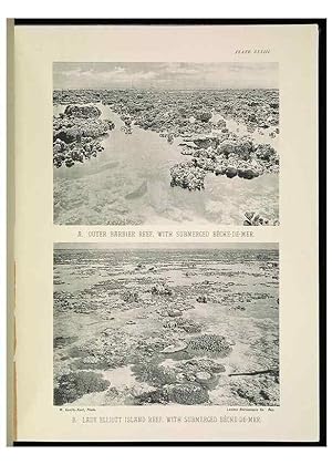 Seller image for Reproduccin/Reproduction 6898569682: The Great Barrier Reef of Australia;. London :W.H. Allen,[1893] for sale by EL BOLETIN