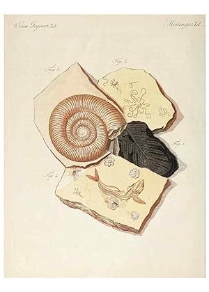 Seller image for Reproduccin/Reproduction 7002714791: Porte-feuille instructif et amusant pour la jeunesse :. vienne,Chez Antoine Pichler,1807. for sale by EL BOLETIN