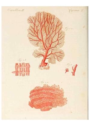 Seller image for Reproduccin/Reproduction 7002729333: Porte-feuille instructif et amusant pour la jeunesse :. vienne,Chez Antoine Pichler,1807. for sale by EL BOLETIN