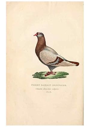 Imagen del vendedor de Reproduccin/Reproduction 6896442020: Les pigeons. Paris,Audot,1824. a la venta por EL BOLETIN