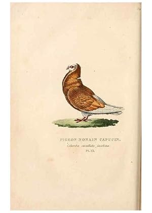 Imagen del vendedor de Reproduccin/Reproduction 6896443426: Les pigeons. Paris,Audot,1824. a la venta por EL BOLETIN