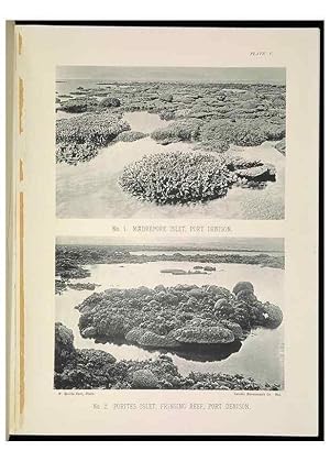 Seller image for Reproduccin/Reproduction 7044658323: The Great Barrier Reef of Australia;. London :W.H. Allen,[1893] for sale by EL BOLETIN