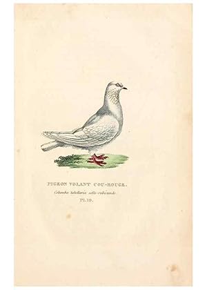 Imagen del vendedor de Reproduccin/Reproduction 7042543221: Les pigeons. Paris,Audot,1824. a la venta por EL BOLETIN