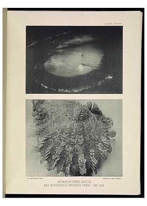 Seller image for Reproduccin/Reproduction 7044667127: The Great Barrier Reef of Australia;. London :W.H. Allen,[1893] for sale by EL BOLETIN