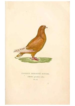 Seller image for Reproduccin/Reproduction 6896442736: Les pigeons. Paris,Audot,1824. for sale by EL BOLETIN