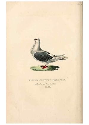 Imagen del vendedor de Reproduccin/Reproduction 6896446188: Les pigeons. Paris,Audot,1824. a la venta por EL BOLETIN