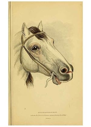 Seller image for Reproduccin/Reproduction 6441427981: The natural history of horses Edinburgh :W.H. Lizars,1841 for sale by EL BOLETIN