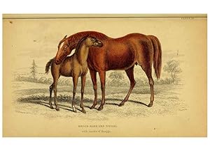 Seller image for Reproduccin/Reproduction 6441432165: The natural history of horses Edinburgh :W.H. Lizars,1841 for sale by EL BOLETIN