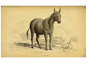 Imagen del vendedor de Reproduccin/Reproduction 6441433913: The natural history of horses Edinburgh :W.H. Lizars,1841 a la venta por EL BOLETIN