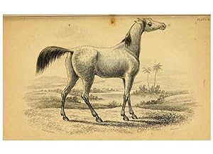 Seller image for Reproduccin/Reproduction 6441424263: The natural history of horses Edinburgh :W.H. Lizars,1841 for sale by EL BOLETIN