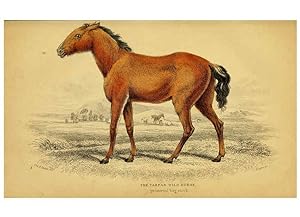 Seller image for Reproduccin/Reproduction 6441423819: The natural history of horses Edinburgh :W.H. Lizars,1841 for sale by EL BOLETIN
