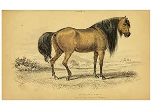 Imagen del vendedor de Reproduccin/Reproduction 6441427657: The natural history of horses Edinburgh :W.H. Lizars,1841 a la venta por EL BOLETIN