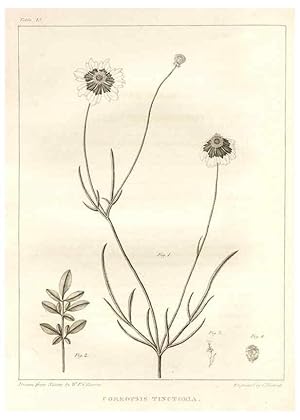 Image du vendeur pour Reproduccin/Reproduction 7176415655: A flora of North America :. Philadelphia :M. Carey & Sons,1821-23. mis en vente par EL BOLETIN