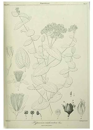 Imagen del vendedor de Reproduccin/Reproduction 7408883830: Phytographia canariensis /. Paris :Bthune,1836-1850. a la venta por EL BOLETIN