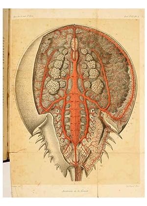 Seller image for Reproduccin/Reproduction 7177141309: Recherches sur lanatomie des Limules/. Paris,1873 for sale by EL BOLETIN