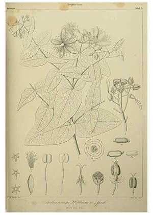 Imagen del vendedor de Reproduccin/Reproduction 7408887728: Phytographia canariensis /. Paris :Bthune,1836-1850. a la venta por EL BOLETIN