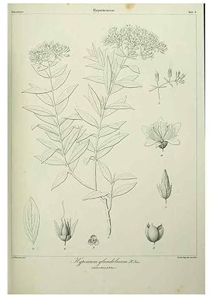 Imagen del vendedor de Reproduccin/Reproduction 7408882976: Phytographia canariensis /. Paris :Bthune,1836-1850. a la venta por EL BOLETIN