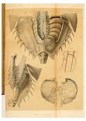 Seller image for Reproduccin/Reproduction 7362372080: Recherches sur lanatomie des Limules/. Paris,1873 for sale by EL BOLETIN