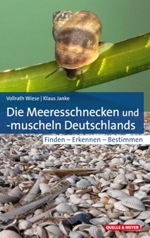 Bild des Verkufers fr Die Meeresschnecken und -muscheln Deutschlands : Finden - Erkennen - Bestimmen zum Verkauf von AHA-BUCH GmbH