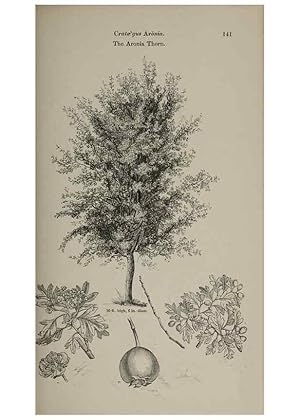Image du vendeur pour Reproduccin/Reproduction 6918240528: Arboretum et fruticetum britannicum, or :. London :J.C. Loudon,1844. mis en vente par EL BOLETIN