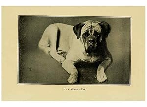 Seller image for Reproduccin/Reproduction 6959845590: The dog in health, accident, and disease,. Philadelphia,H. Altemus company[c1908] for sale by EL BOLETIN