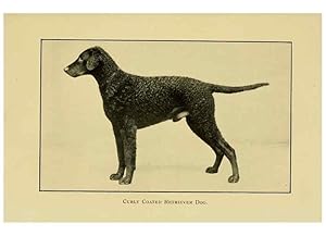 Seller image for Reproduccin/Reproduction 6959847240: The dog in health, accident, and disease,. Philadelphia,H. Altemus company[c1908] for sale by EL BOLETIN