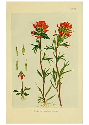 Seller image for Reproduccin/Reproduction 7248367490: How to know the wild flowers :. New York :Scribners,1893. for sale by EL BOLETIN