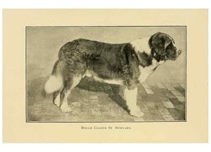 Seller image for Reproduccin/Reproduction 6959844592: The dog in health, accident, and disease,. Philadelphia,H. Altemus company[c1908] for sale by EL BOLETIN