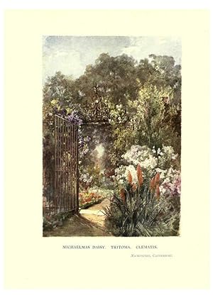 Seller image for Reproduccin/Reproduction 6286307634: Garden colour London,E. P. Dutton & company,1905 for sale by EL BOLETIN