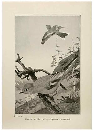 Seller image for Reproduccin/Reproduction 7250825036: Birds of the Rockies,. Chicago,A. C. McClurg and co.,1902. for sale by EL BOLETIN