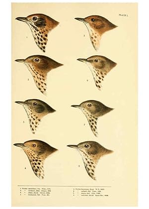 Seller image for Reproduccin/Reproduction 6286758750: A history of North American birds Boston :Little, Brown,1905 for sale by EL BOLETIN