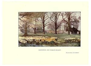 Seller image for Reproduccin/Reproduction 6285787653: Garden colour London,E. P. Dutton & company,1905 for sale by EL BOLETIN