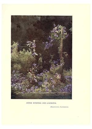 Seller image for Reproduccin/Reproduction 6285795591: Garden colour London,E. P. Dutton & company,1905 for sale by EL BOLETIN