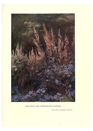Seller image for Reproduccin/Reproduction 6285796541: Garden colour London,E. P. Dutton & company,1905 for sale by EL BOLETIN