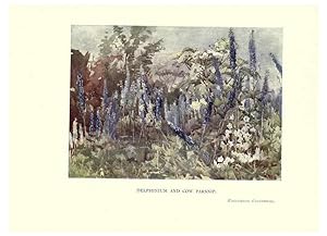 Seller image for Reproduccin/Reproduction 6285791479: Garden colour London,E. P. Dutton & company,1905 for sale by EL BOLETIN