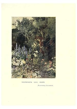 Seller image for Reproduccin/Reproduction 6285791661: Garden colour London,E. P. Dutton & company,1905 for sale by EL BOLETIN