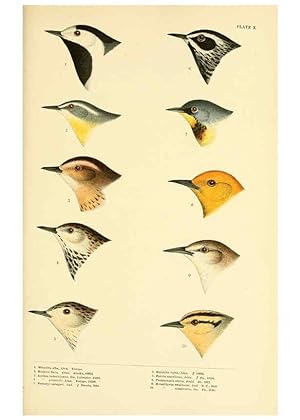 Seller image for Reproduccin/Reproduction 6286241813: A history of North American birds Boston :Little, Brown,1905 for sale by EL BOLETIN