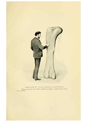 Immagine del venditore per Reproduccin/Reproduction 6288815826: Extinct monsters and creatures of other days London :Chapman & Hall,1910 venduto da EL BOLETIN
