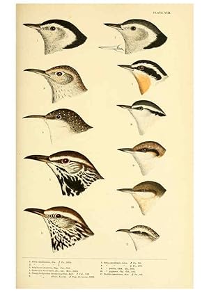 Seller image for Reproduccin/Reproduction 6286241411: A history of North American birds Boston :Little, Brown,1905 for sale by EL BOLETIN