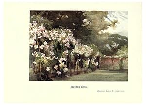 Seller image for Reproduccin/Reproduction 6286313384: Garden colour London,E. P. Dutton & company,1905 for sale by EL BOLETIN