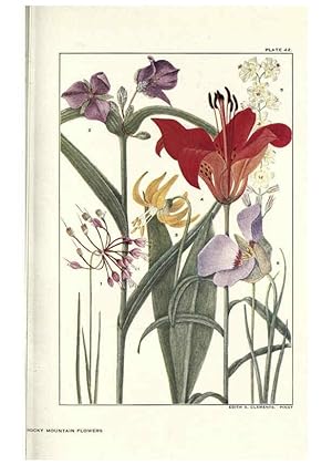 Seller image for Reproduccin/Reproduction 6279691091: Rocky mountain flowers New York city,the H.W. Wilson company,1914 for sale by EL BOLETIN