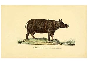 Seller image for Reproduccin/Reproduction 6288753507: Complments de Buffon. t.1. Paris :P. Pourrat Frres,1838 for sale by EL BOLETIN