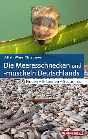 Bild des Verkufers fr Die Meeresschnecken und -muscheln Deutschlands zum Verkauf von moluna