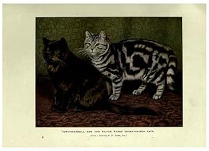 Imagen del vendedor de Reproduccin/Reproduction 6263033983: The book of the cat London,Cassell and company, limited,1903 a la venta por EL BOLETIN