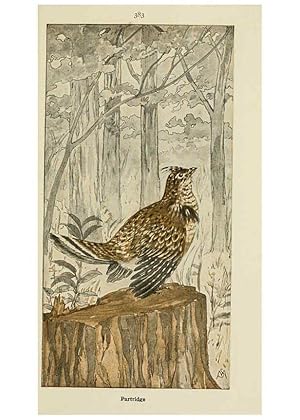 Seller image for Reproduccin/Reproduction 6260104723: Field book of wild birds and their music London,G.P. Putnams Sons[c1921] for sale by EL BOLETIN