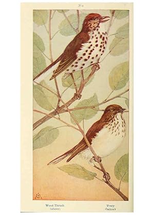 Seller image for Reproduccin/Reproduction 6260626622: Field book of wild birds and their music London,G.P. Putnams Sons[c1921] for sale by EL BOLETIN