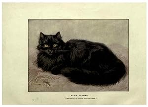 Imagen del vendedor de Reproduccin/Reproduction 6263557124: The book of the cat London,Cassell and company, limited,1903 a la venta por EL BOLETIN