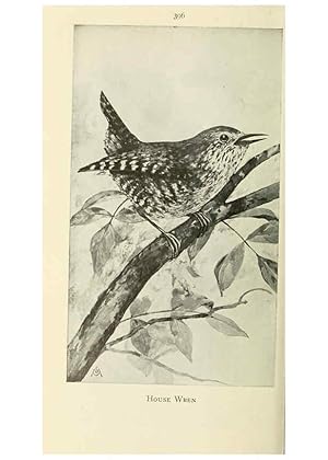 Seller image for Reproduccin/Reproduction 6260107335: Field book of wild birds and their music London,G.P. Putnams Sons[c1921] for sale by EL BOLETIN