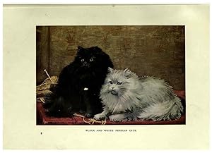 Imagen del vendedor de Reproduccin/Reproduction 6263032807: The book of the cat London,Cassell and company, limited,1903 a la venta por EL BOLETIN