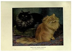 Imagen del vendedor de Reproduccin/Reproduction 6263557754: The book of the cat London,Cassell and company, limited,1903 a la venta por EL BOLETIN